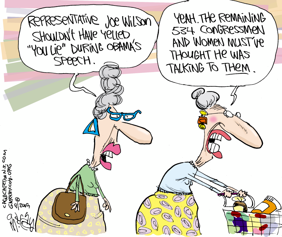 Rep Wilson Was Right COLOR