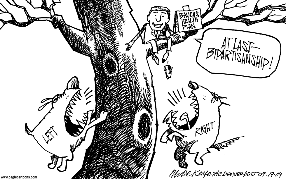 Baucus Plan