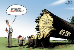 ACORN AND THE PRESS  by Nate Beeler