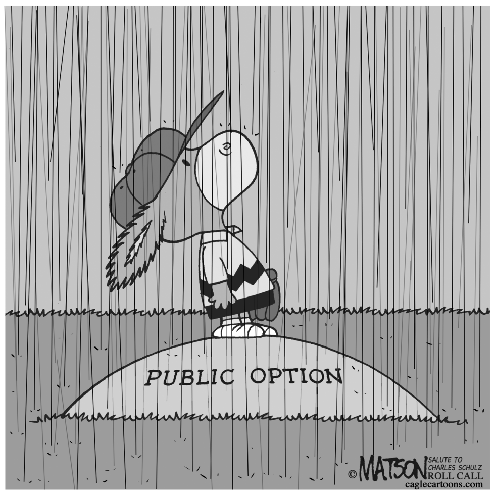  PUBLIC OPTION RAIN DELAY by RJ Matson