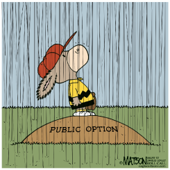 PUBLIC OPTION RAIN DELAY by R.J. Matson