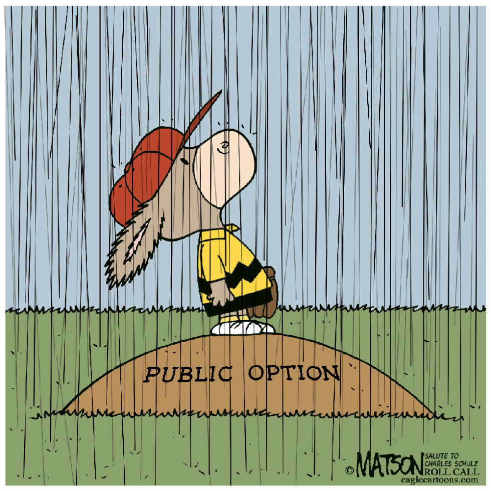 Public Option Rain Delay-COLOR