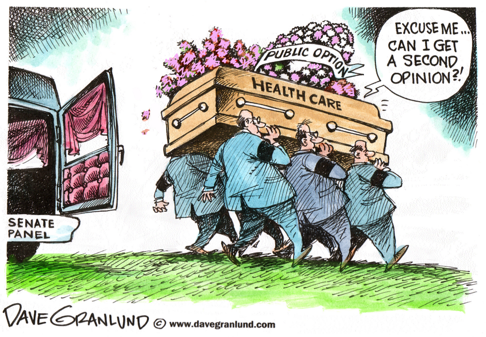 Public Option Health Care