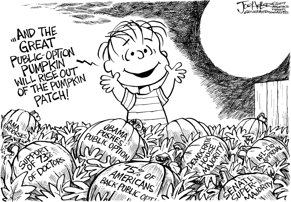 Public option