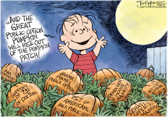 PUBLIC OPTION by Joe Heller