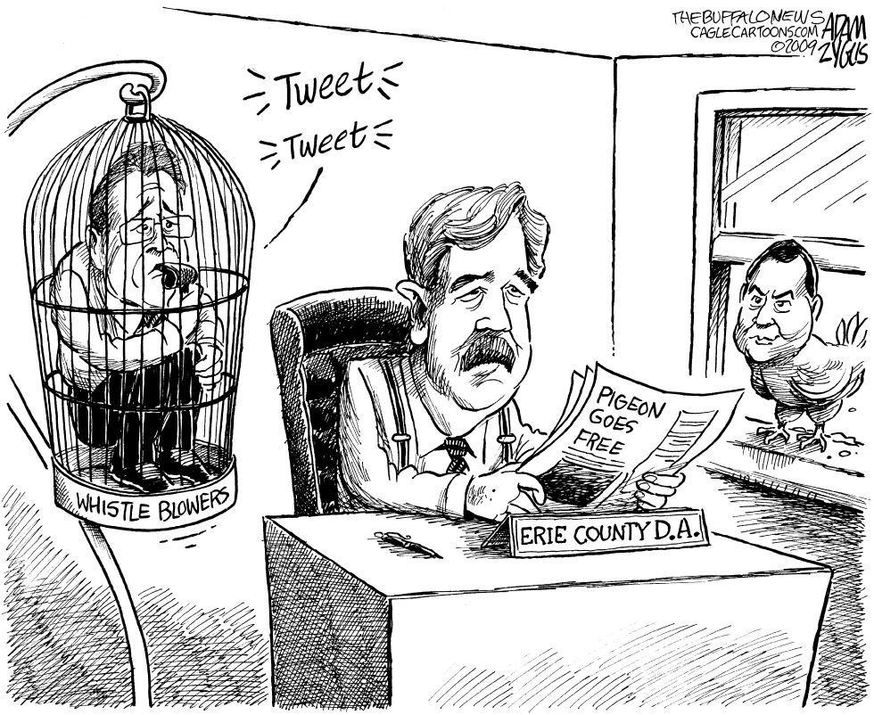 NY State Steve Pigeon Election Fraud