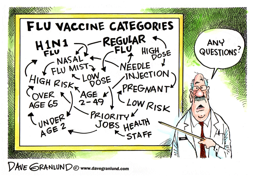 Flu Vaccine Categories