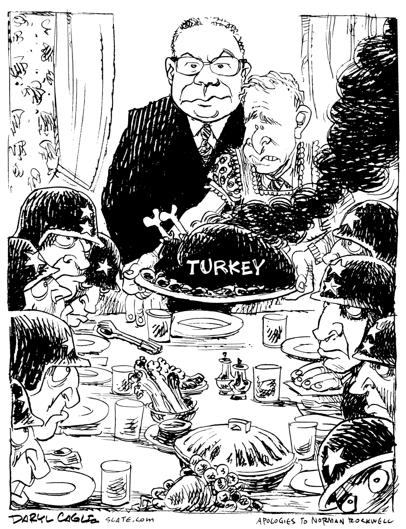 Burnt Turkey