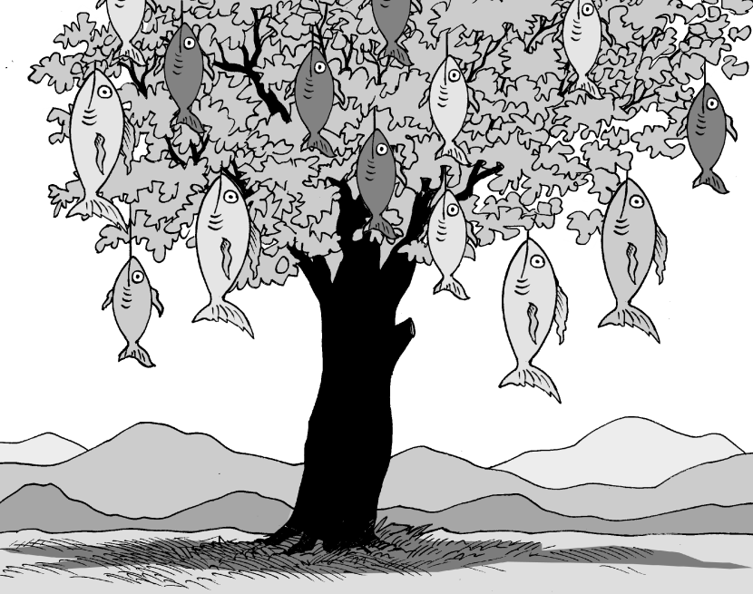 Fish Crop