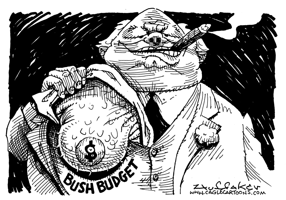 Bush Budget