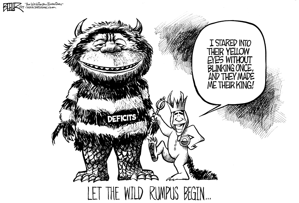Where the Wild Deficits Are
