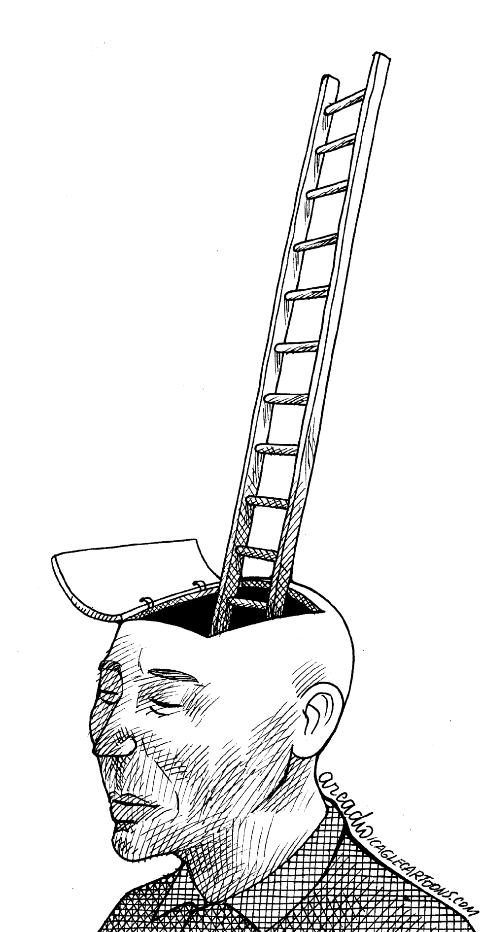 Fuga de cerebro
