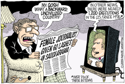 60 LASHES FOR FEMALE SAUDI JOURNALIST  by Monte Wolverton