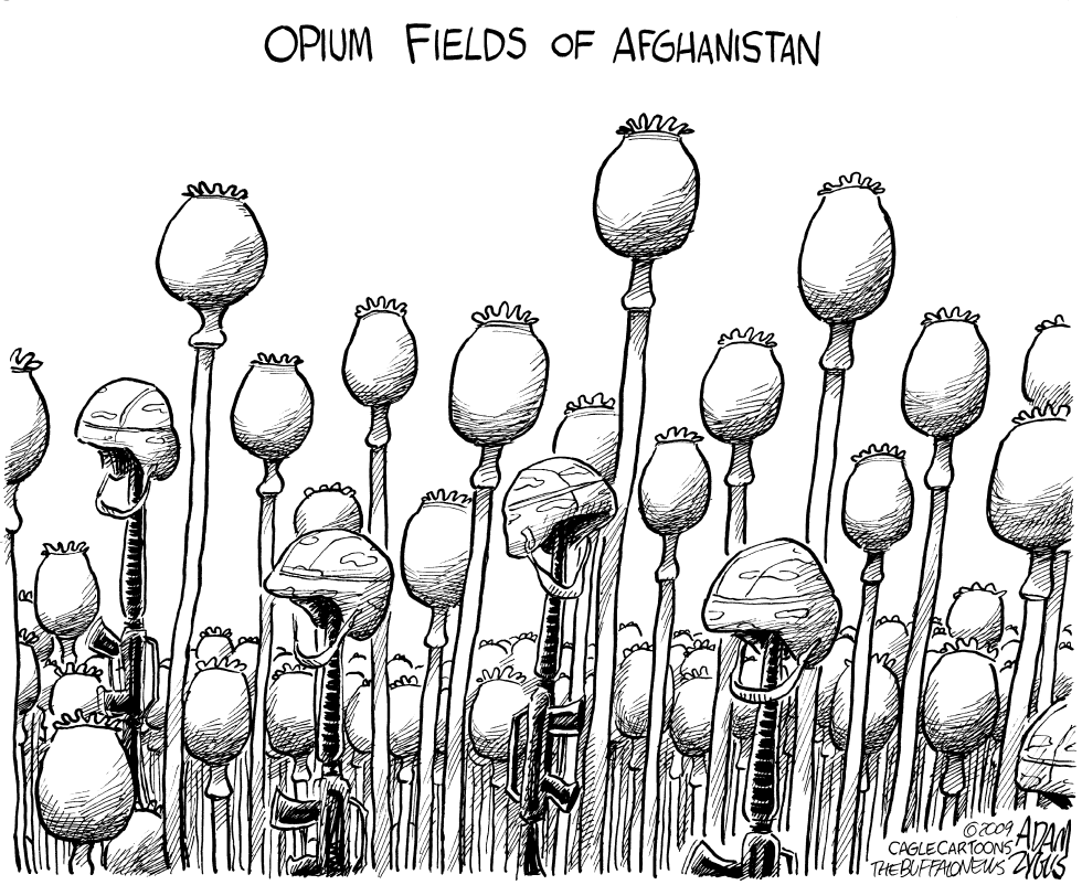 Opium Fields