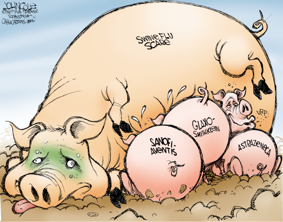 Swine flu piglets COLOR