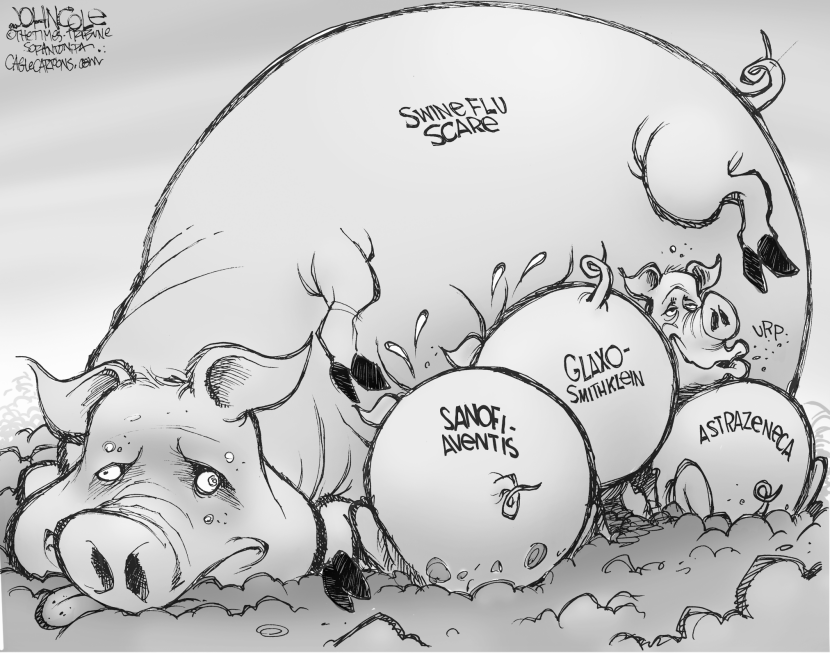 Swine flu piglets BW