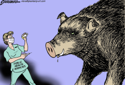 SWINE FLU by Steve Greenberg