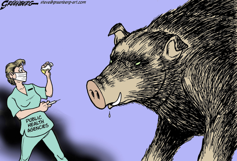 Swine flu