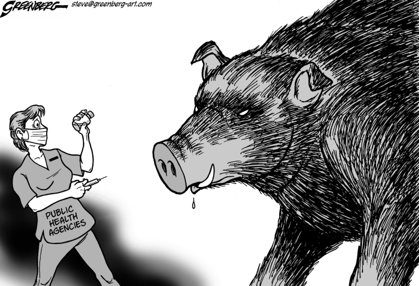 Swine flu bw
