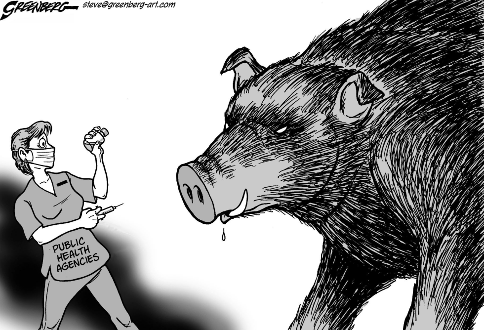 Swine flu bw