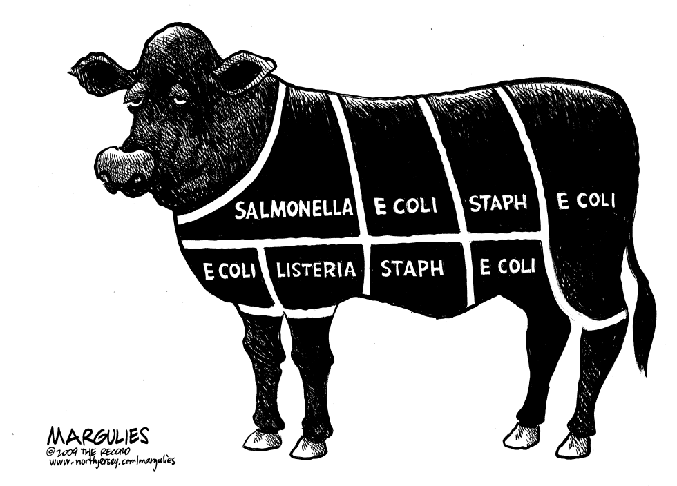 E Coli