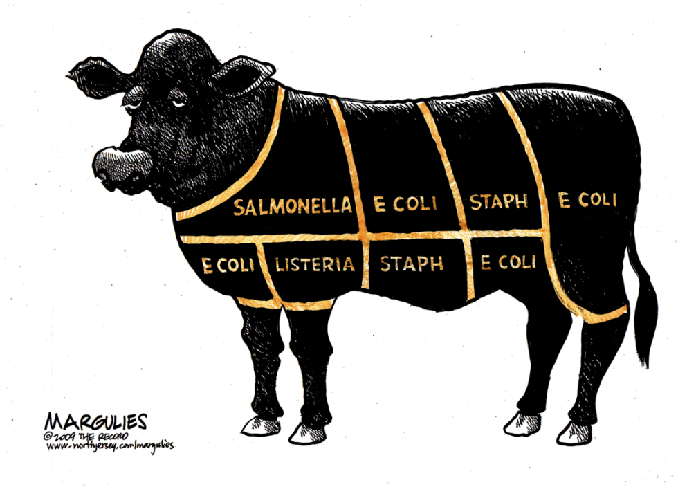 E Coli color