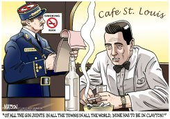 LOCAL MO-ST. LOUIS COUNTY SMOKING BAN PASSES by R.J. Matson