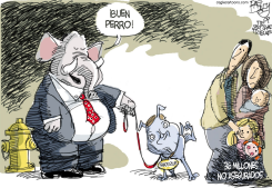 DIAS DE PERRO AZUL /  by Pat Bagley