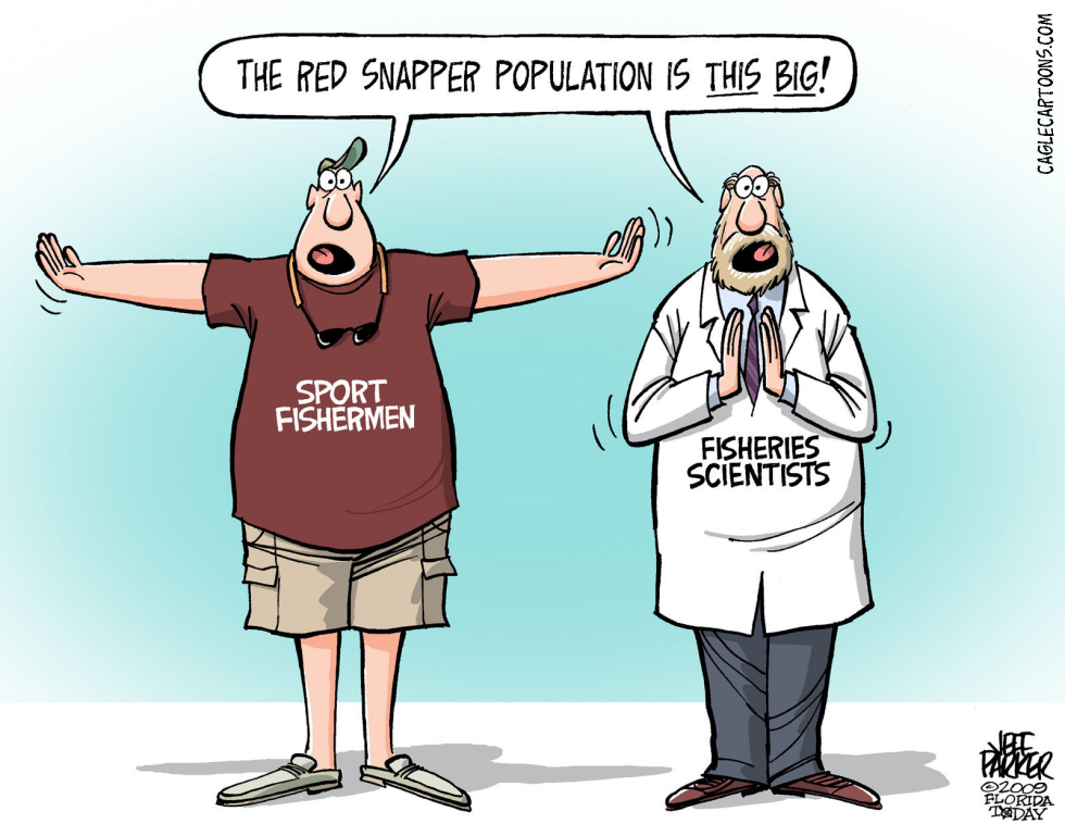 ATLANTIC AND GULF COAST Red Snapper Fish Story COLOR