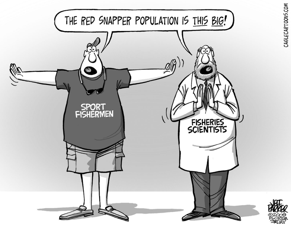 ATLANTIC AND GULF COAST Red Snapper Fish Story