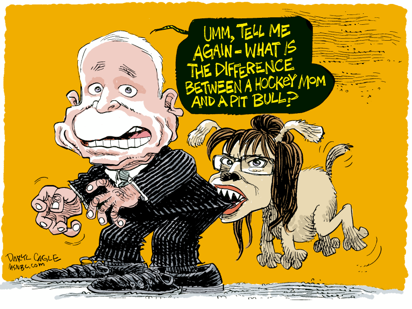Sarah Palin and McCain Rogue Pit Bull COLOR
