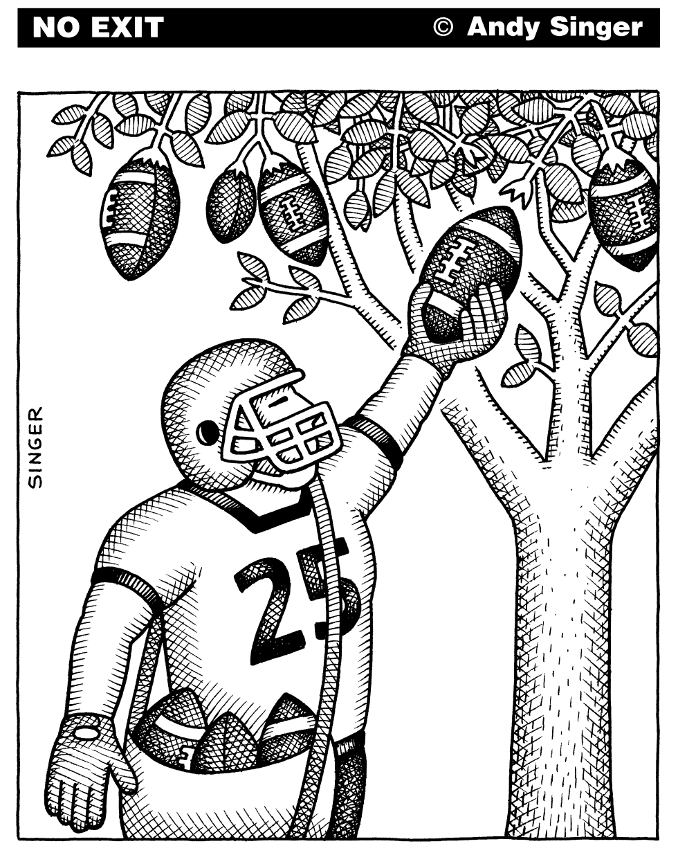 Football Harvest