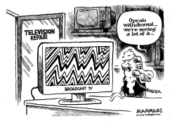 OPRAH by Jimmy Margulies