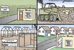 AGRICULTURAL LAND by Steve Greenberg