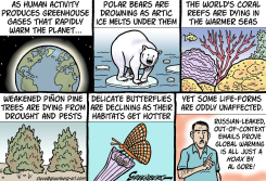 GLOBAL WARMING EFFECTS by Steve Greenberg