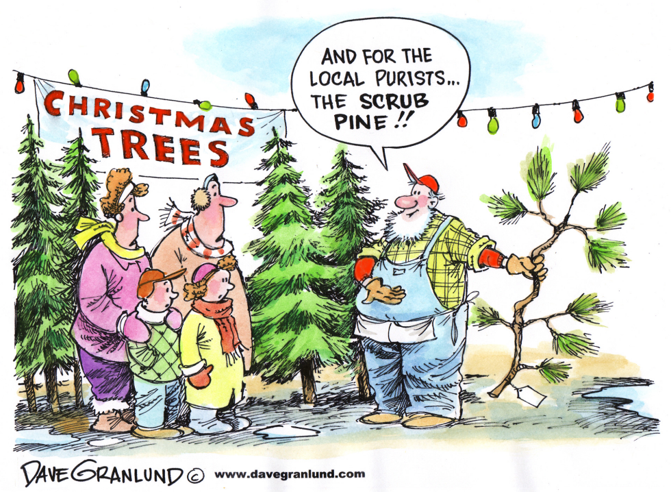 Christmas Tree Selections