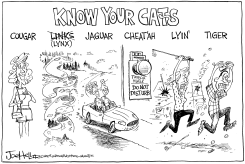 TIGER by Joe Heller