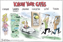 TIGER by Joe Heller