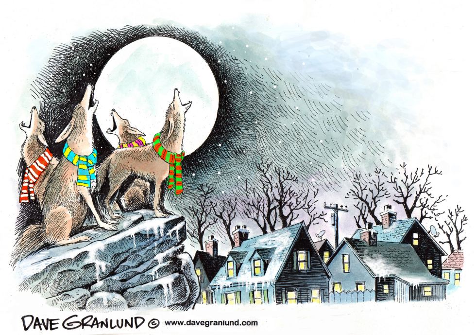  CAROLING COYOTES by Dave Granlund