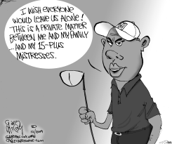 TIGER WANTS PRIVACY by Gary McCoy