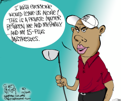 TIGER WANTS PRIVACY  by Gary McCoy
