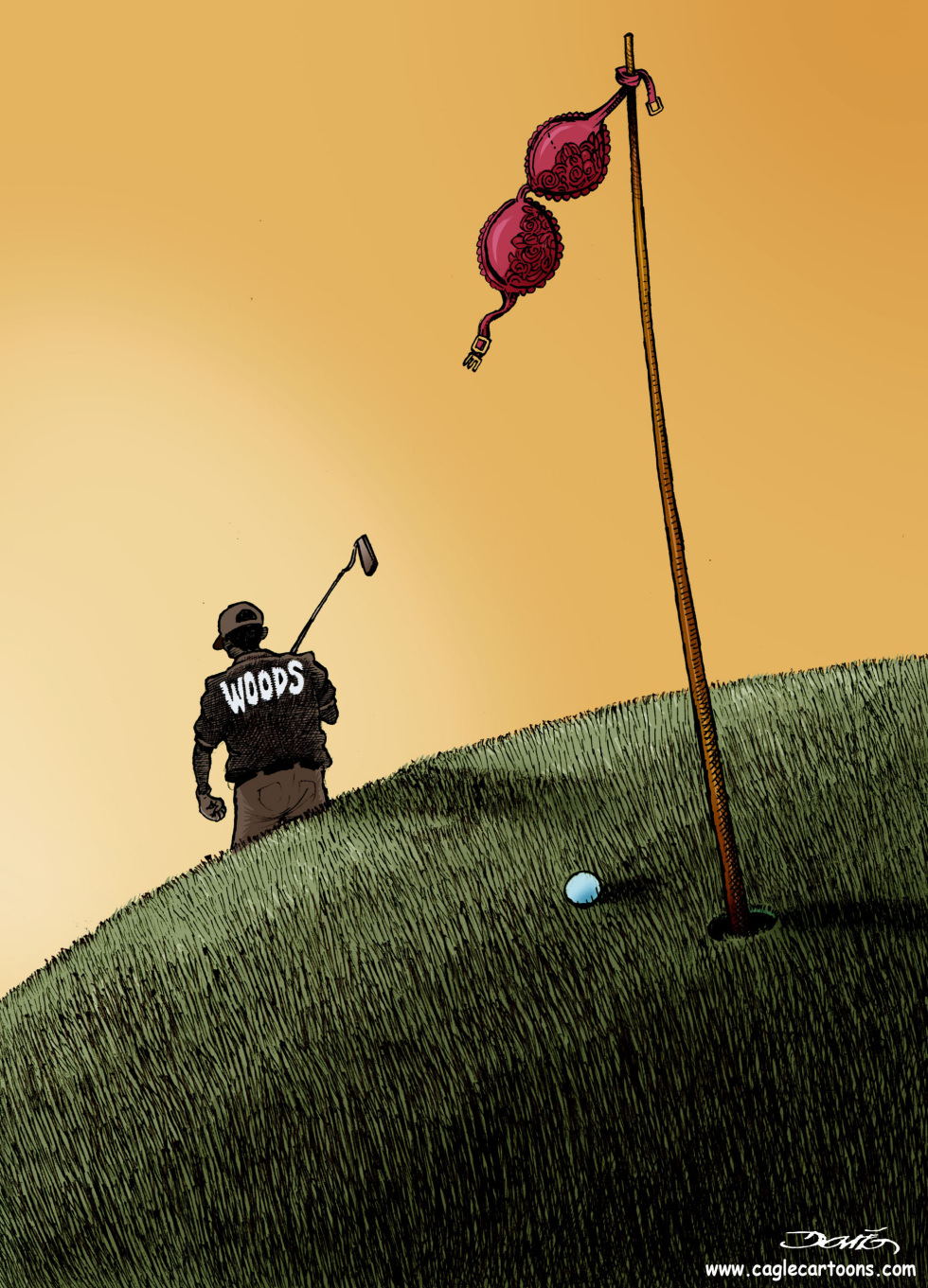 El retiro de Tiger