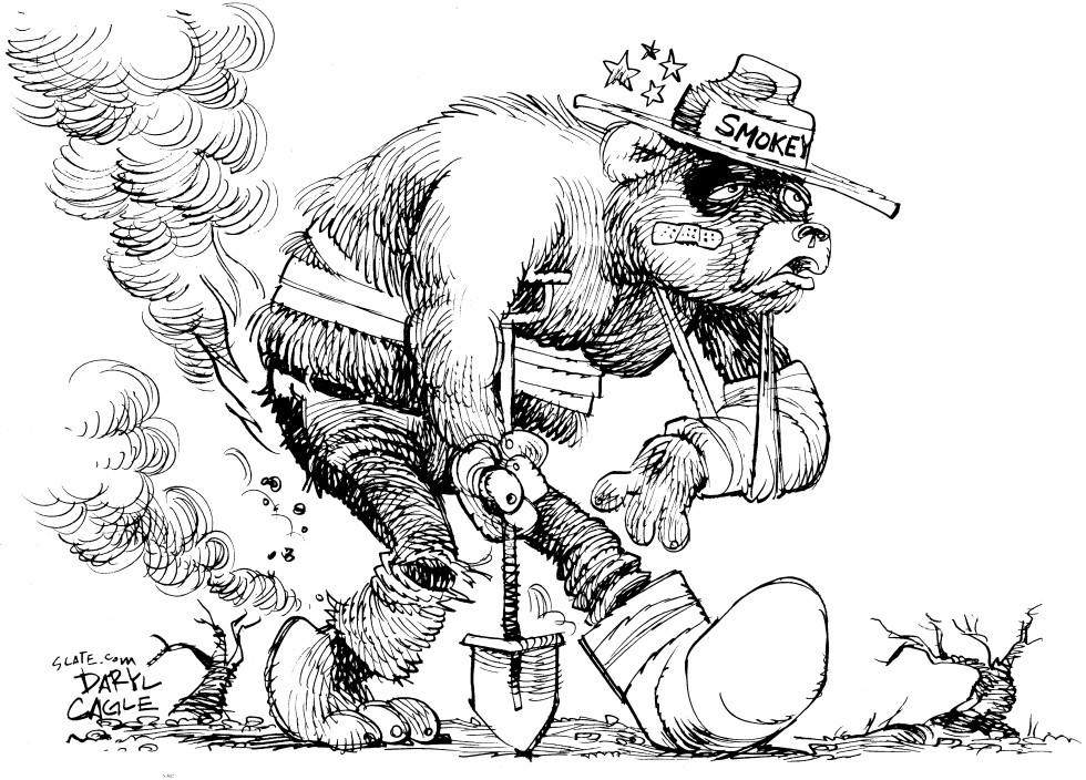  BATTERED SMOKEY BEAR by Daryl Cagle