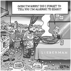 MAKING OMELETTES FOR JOE LIEBERMAN by R.J. Matson