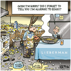 MAKING OMELETTES FOR JOE LIEBERMAN by R.J. Matson