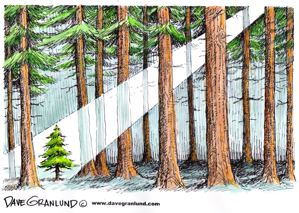 CHRISTMAS IN THE FOREST by Dave Granlund