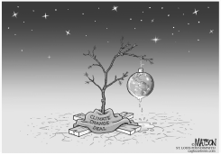 A CHARLIE BROWN CLIMATE DEAL by R.J. Matson