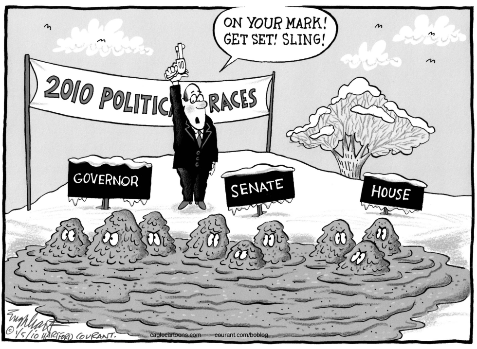 2010 Political Races