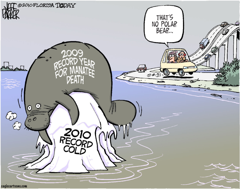LOCAL FL Iceflow to Extinction