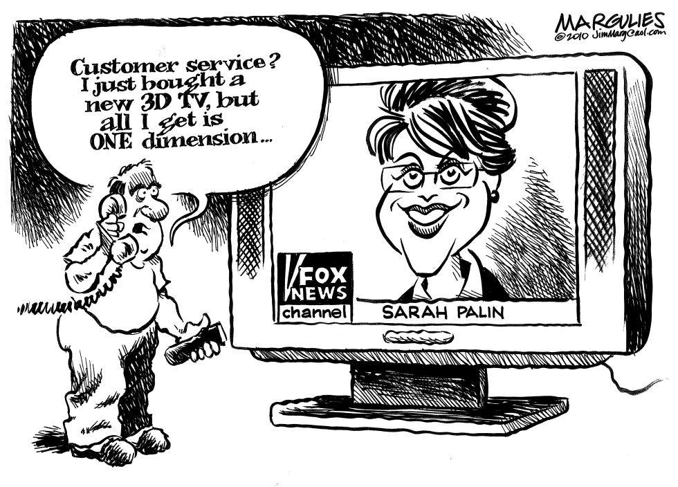 Sarah Palin on TV